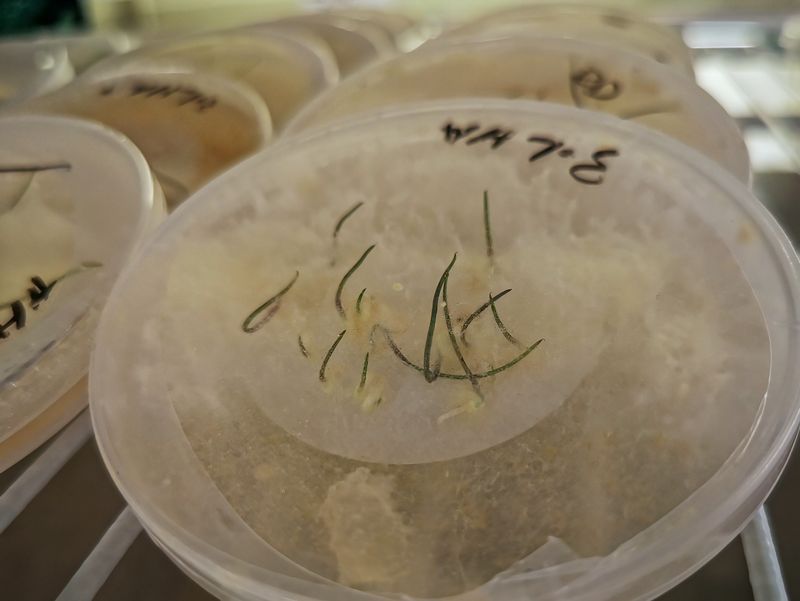 Royal Botanic Gardens Victoria